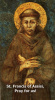 Oct 4th: St. Francis of Assisi Magnet